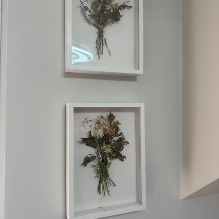 Appartement Jw *